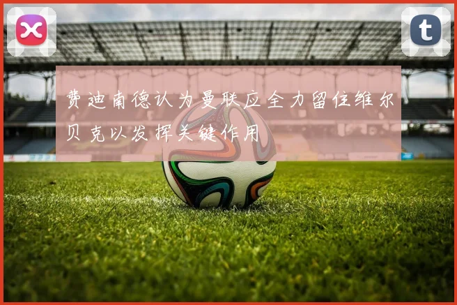 费迪南德认为曼联应全力留住维尔贝克以发挥关键作用